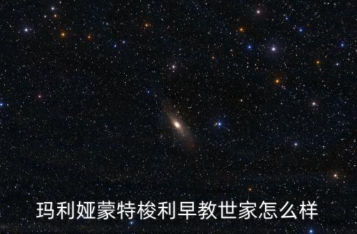 瑪利婭蒙特梭利早教世家怎么樣