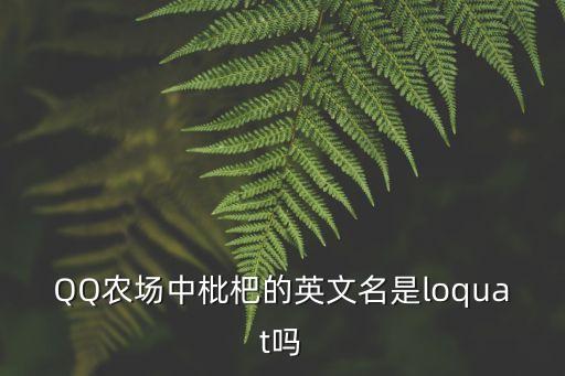 QQ農場中枇杷的英文名是loquat嗎