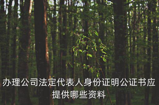 法人代表身份證明，法定代表人身份證明 怎么填寫啊  在我 任 職務(wù)是我