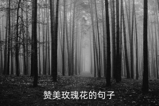 贊美花的句子，求贊美花的名句