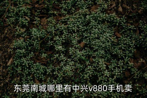 東莞南城哪里有中興v880手機(jī)賣(mài)