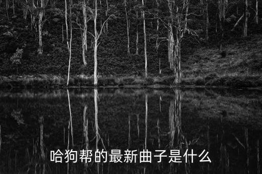 哈狗幫的最新曲子是什么
