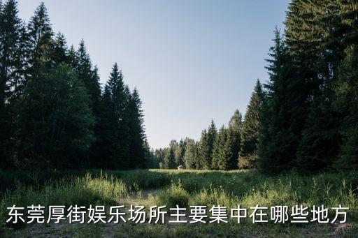 東莞夜生活在哪條路，東莞長安長盛西路那幾間夜店是干什么的