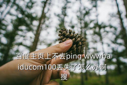 東莞通有幾種圖案，百度主頁上不去ping wwwbaiducom100丟失了怎么辦啊  搜