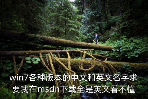 版本英文，英文版與中文版有什么區別
