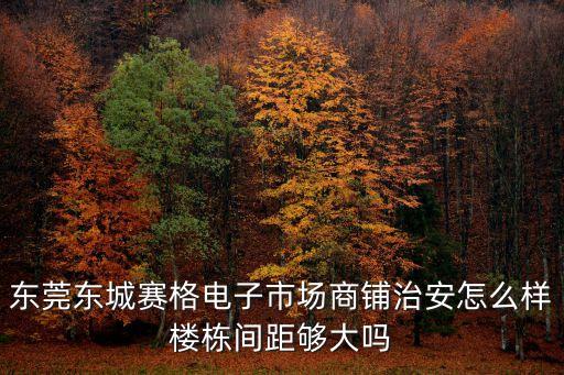 東莞東城賽格電子市場(chǎng)商鋪治安怎么樣樓棟間距夠大嗎