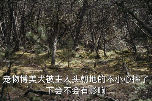 第五屆上海市家庭馬拉松，轉(zhuǎn)上馬前一天做什么跟槿汐姑姑一起提前熱身