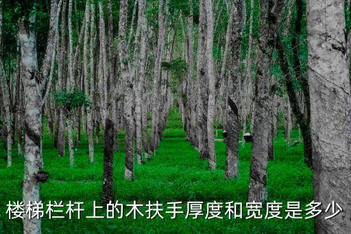 樓梯欄桿上的木扶手厚度和寬度是多少