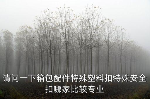 請問一下箱包配件特殊塑料扣特殊安全扣哪家比較專業