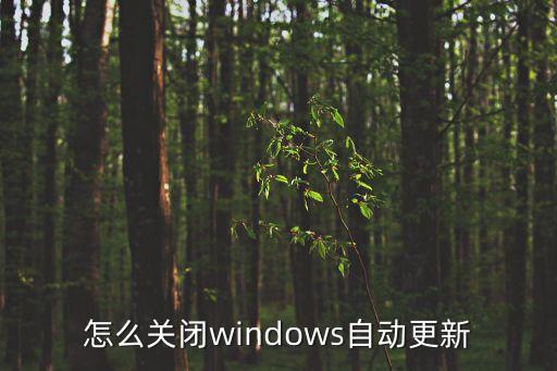 怎么關閉windows自動更新，怎么關閉windows自動更新
