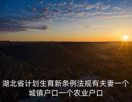 湖北省人口與計劃生育條例，湖北省人口與計劃生育條例 政策解釋