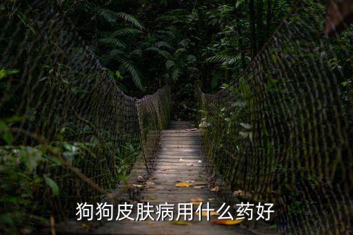 狗狗皮膚病用什么藥好