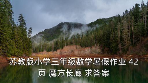 蘇教版小學三年級數學暑假作業 42頁 魔方長廊 求答案