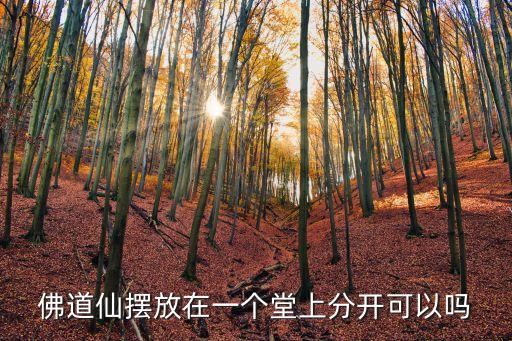 佛道仙，佛道仙擺放在一個堂上分開可以嗎