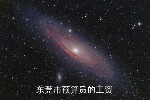 東莞市預算員的工資
