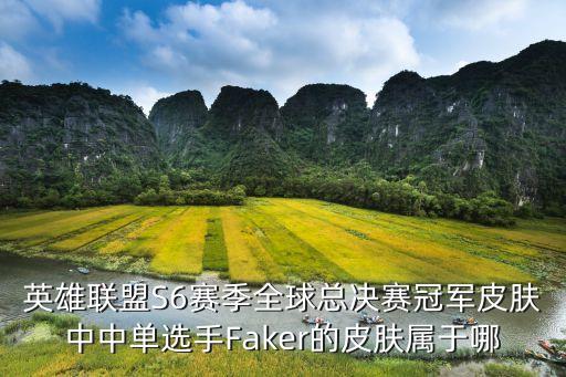 英雄聯盟S6賽季全球總決賽冠軍皮膚中中單選手Faker的皮膚屬于哪