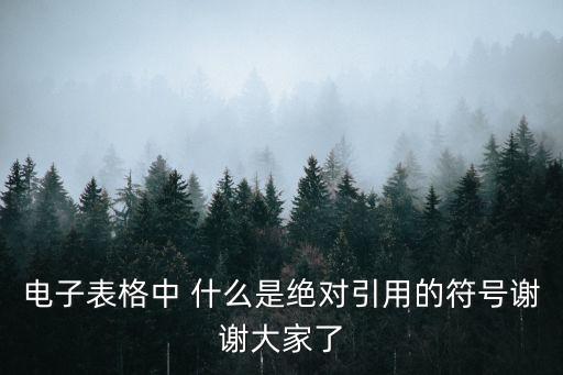 電子表格中 什么是絕對引用的符號謝謝大家了