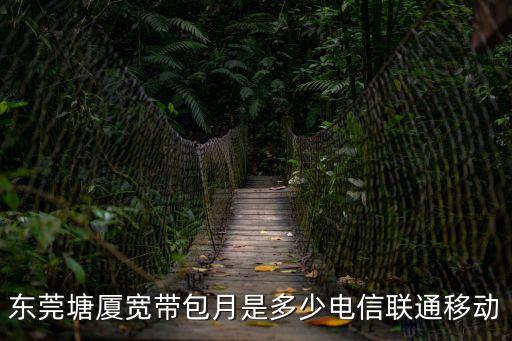 東莞寬帶光纖寬帶套餐介紹2015，東莞塘廈寬帶包月是多少電信聯通移動