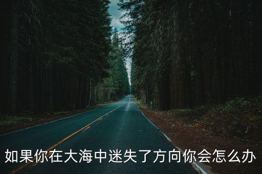 如果你在大海中迷失了方向你會(huì)怎么辦