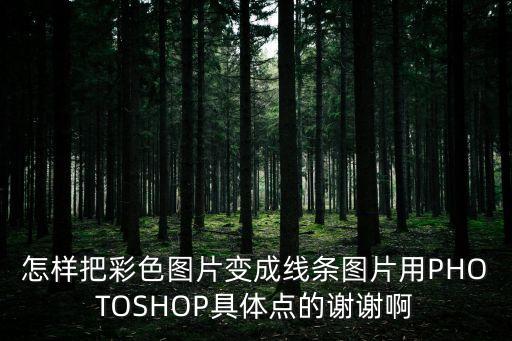 怎樣把彩色圖片變成線條圖片用PHOTOSHOP具體點的謝謝啊