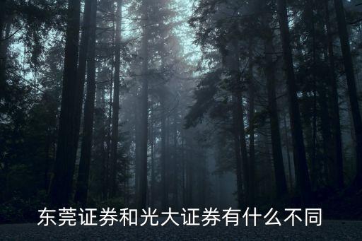 東莞證券和光大證券有什么不同