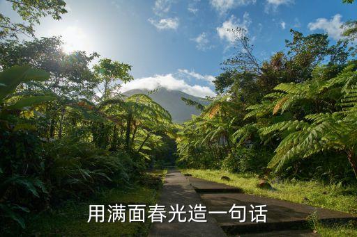 滿面春光，滿面春光 是什么意思