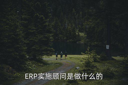erp實施顧問，ERP實施顧問什么意思
