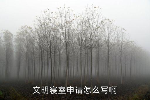 文明寢室申請怎么寫啊