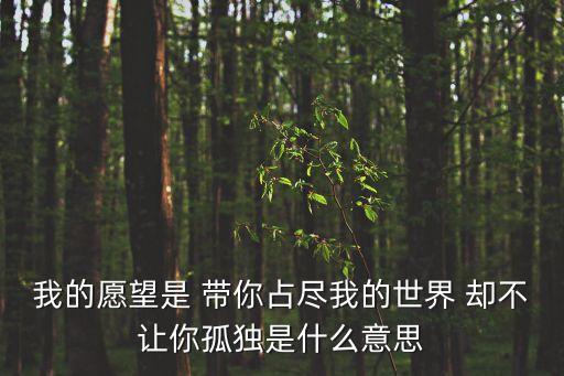 我的愿望是 帶你占盡我的世界 卻不讓你孤獨是什么意思