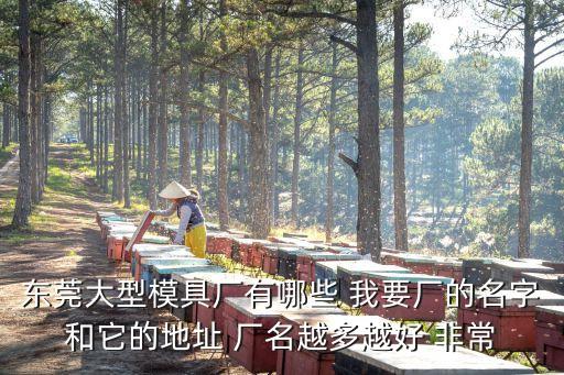東莞景騰模具有限公司，請問東莞哪里有大型模具加工廠