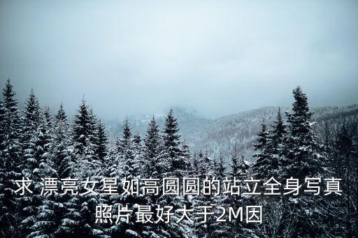 女模寫真，人體模特造型寫真的介紹