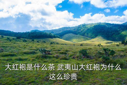 武夷巖茶大紅袍，武夷山大紅袍