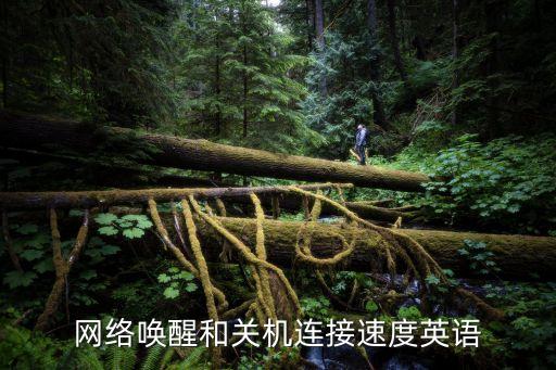 喚醒的英文，清醒的用英文怎么寫(xiě)