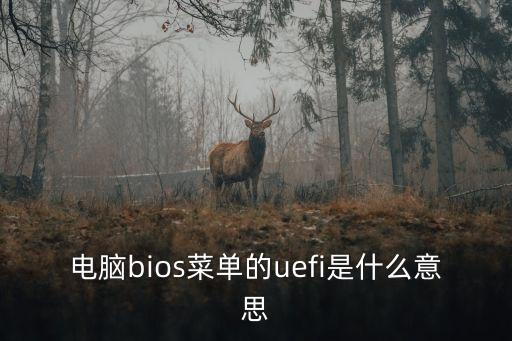 電腦bios菜單的uefi是什么意思