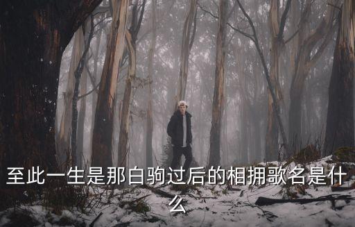 至此一生是那白駒過后的相擁歌名是什么