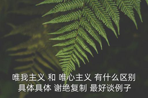唯我主義，唯我主義意識