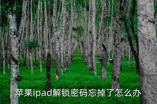 ipad密碼忘了，蘋果ipad解鎖密碼忘掉了怎么辦
