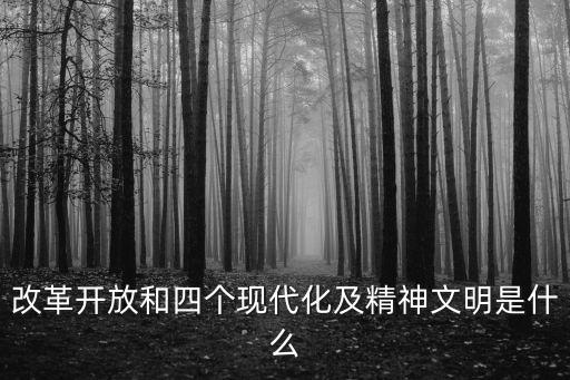 改革開放精神，什么是革新精神