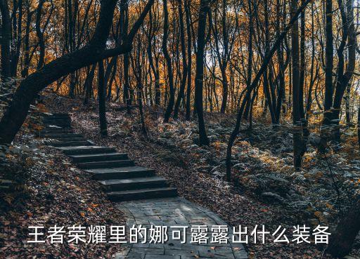 王者榮耀里的娜可露露出什么裝備