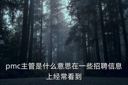 東莞云通通訊pmc主管，pmc主管崗位素質要求