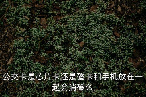 東莞通容易消磁，公交一卡通會不會消磁啊