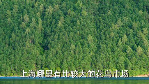 上海市恒盛鮮花市場幾點開市，上海哪里有比較大的花鳥市場