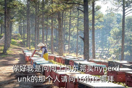 你好我是問問上問東莞買hyperdunk的那個人請問16街在哪拜