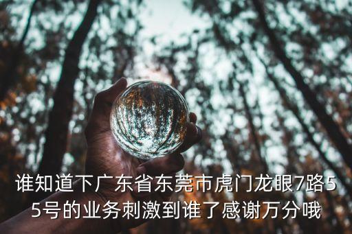 誰知道下廣東省東莞市虎門龍眼7路55號的業務刺激到誰了感謝萬分哦