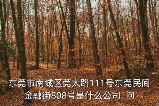 東莞市南城區莞太路111號東莞民間金融街808號是什么公司  問