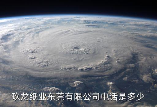 玖龍紙業東莞有限公司電話是多少