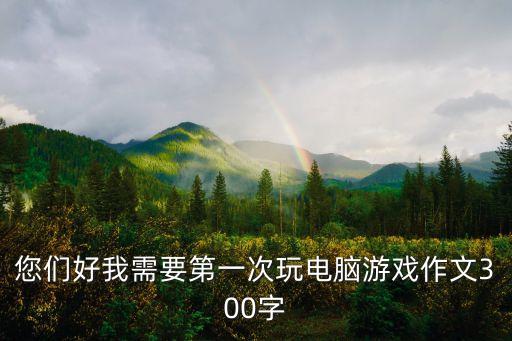 您們好我需要第一次玩電腦游戲作文300字