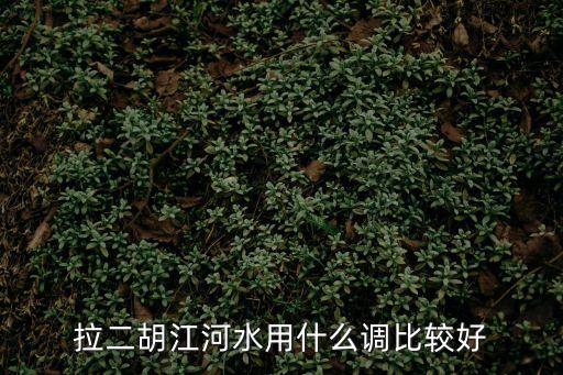 江河水二胡簡譜，跪求 二胡名師宋飛大師的江河水改寫后簡譜
