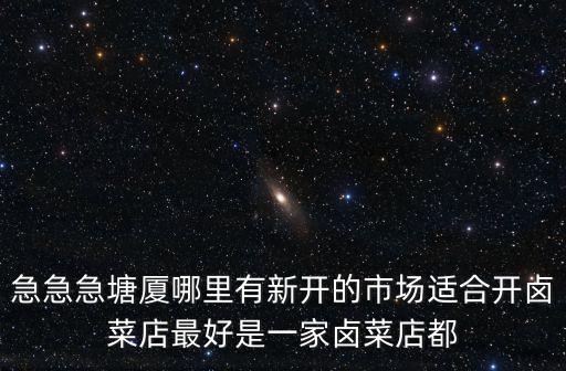 急急急塘廈哪里有新開的市場適合開鹵菜店最好是一家鹵菜店都