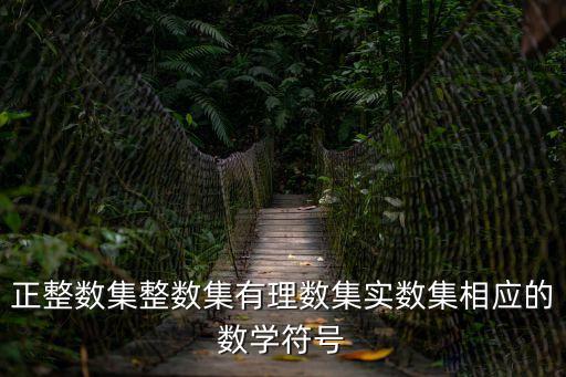 正整數集整數集有理數集實數集相應的數學符號